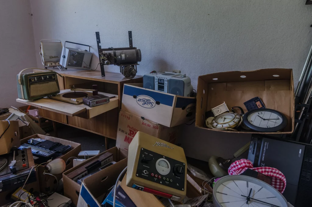 syndrome de Diogène